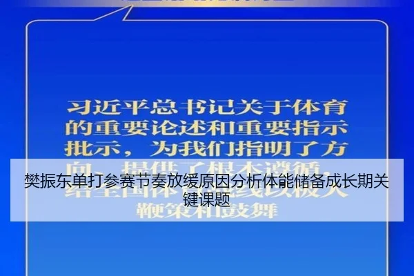 樊振东单打参赛节奏放缓原因分析体能储备成长期关键课题