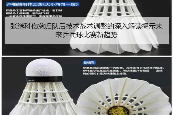 张继科伤愈归队后技术战术调整的深入解读揭示未来乒乓球比赛新趋势