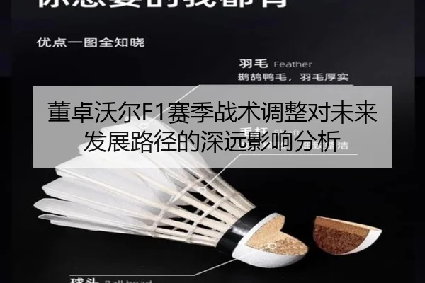 董卓沃尔F1赛季战术调整对未来发展路径的深远影响分析